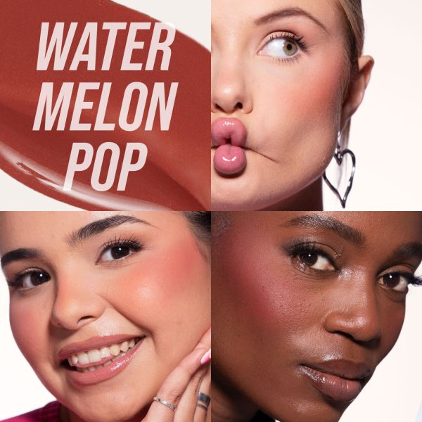 Blush Filter Liquid Blush - Image 8